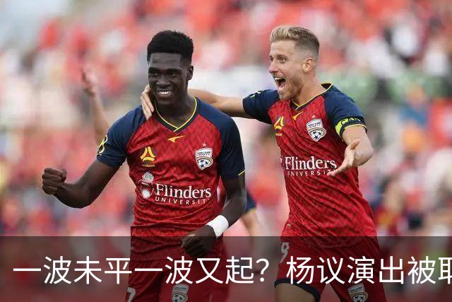 一波未平一波又起？杨议演出被取消，条子哥翻脸，老郭评价没说错