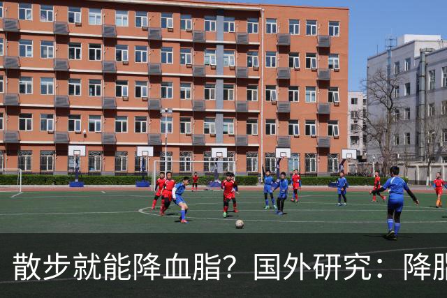 散步就能降血脂？国外研究：降脂有6个最佳方法，不是散步