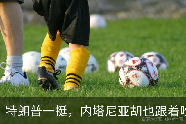 特朗普一挺，内塔尼亚胡也跟着吹上了：只要连任，两年内解决伊朗