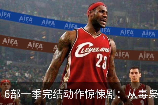 6部一季完结动作惊悚剧：从毒枭运货到卧底复仇，一晚刷完